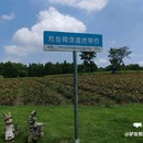 江苏同里国家湿地公园 - 苏州市旅游 缩略图 6