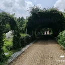 江苏同里国家湿地公园 - 苏州市旅游 缩略图 8