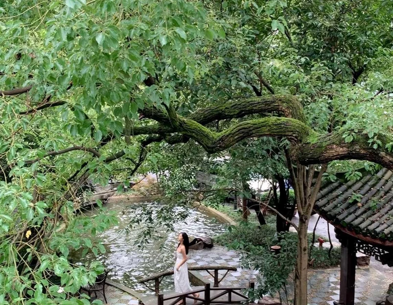 杭州西湖殿影酒店 - 杭州市旅游 1