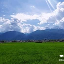 喜洲古镇 - 大理白族自治州旅游 缩略图 2