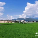 喜洲古镇 - 大理白族自治州旅游 缩略图 3