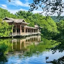 花港观鱼 - 杭州旅游 缩略图 6