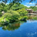 花港观鱼 - 杭州旅游 缩略图 8
