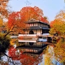 苏州泉屋 - 苏州市旅游 缩略图 1