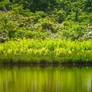 北海道 - 日本旅游 缩略图 1