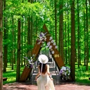 江苏三台山国家森林公园 - 宿迁市旅游 缩略图 3
