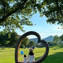 北京金海湖碧波岛度假区 - 北京旅游 缩略图 1