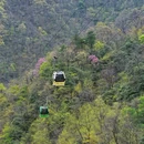 安徽天堂寨风景区 - 六安市旅游 缩略图 8
