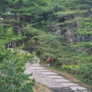 安徽天堂寨风景区 - 六安市旅游 缩略图 6
