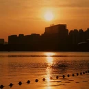 天鹅湖 - 合肥市旅游 缩略图 2