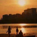 天鹅湖 - 合肥市旅游 缩略图 7