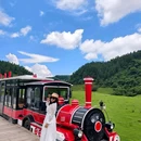 仙女山国家森林公园 - 重庆市旅游 缩略图 6