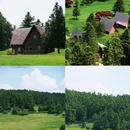 仙女山国家森林公园 - 重庆市旅游 缩略图 8