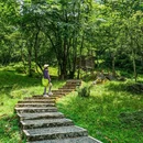 喇叭河风景区 - 雅安市旅游 缩略图 6