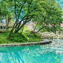 喇叭河风景区 - 雅安市旅游 缩略图 7