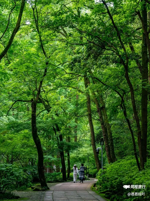九溪烟树 - 杭州市旅游