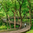 九溪烟树 - 杭州市旅游 缩略图 4