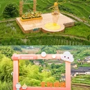 云和梯田景区 - 丽水市旅游 缩略图 9