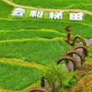 云和梯田景区 - 丽水市旅游 缩略图 4