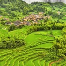 云和梯田景区 - 丽水市旅游 缩略图 1