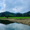 婺源县文化广场 - 上饶市旅游 缩略图 4