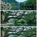 婺源县文化广场 - 上饶市旅游 缩略图 1