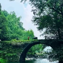 婺源县文化广场 - 上饶市旅游 缩略图 5