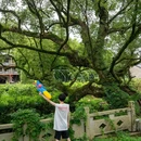 双溪村 - 泉州市旅游 缩略图 4