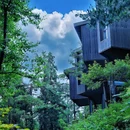 雪窦山风景区 - 宁波市旅游 缩略图 1