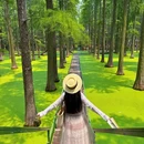 邵伯古镇景区 - 扬州市旅游 缩略图 5