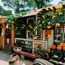 小鱼山公园 - 青岛市旅游 缩略图 9