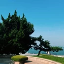 小青岛公园 - 青岛市旅游 缩略图 4