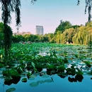 昆明老街记忆 - 昆明市旅游 缩略图 3