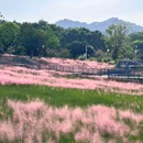 金钟湖公园 - 中山市旅游 缩略图 2