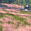 金钟湖公园 - 中山市旅游 缩略图 4
