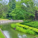 厦门大学(思明校区) - 厦门旅游 缩略图 3