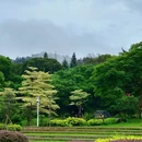 厦门大学(思明校区) - 厦门旅游 缩略图 9