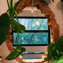 滇池 - 昆明市旅游 缩略图 4