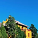 钱王街 - 昆明市旅游 缩略图 7