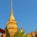 曼春满佛寺 - 西双版纳傣族自治州旅游 缩略图 2