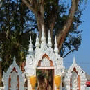 曼春满佛寺 - 西双版纳傣族自治州旅游 缩略图 6