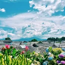 丽江古城 - 丽江市旅游 缩略图 3