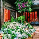 丽江古城 - 丽江市旅游 缩略图 5
