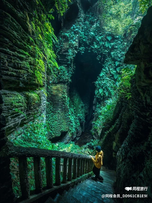 苗王谷 - 宜宾市旅游