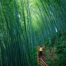 苗王谷 - 宜宾市旅游 缩略图 9