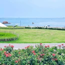 五四广场 - 青岛市旅游 缩略图 5