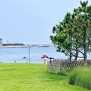 五四广场 - 青岛市旅游 缩略图 7