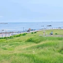 五四广场 - 青岛市旅游 缩略图 8