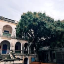 印象·1876北海历史文化景区 - 北海市旅游 缩略图 9