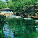 拙政园 - 苏州市旅游 缩略图 7